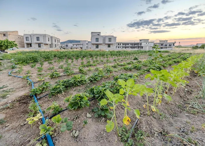 Mial Cappadocia Hotel Nevsehir